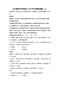 山东省临沂市罗庄区 2025年中考模拟（二）化学试题（解析版）