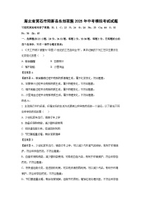 湖北省黄石市阳新县东部联盟2025年中考模拟考试化学试题（解析版）