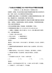 广东省汕头市潮南区2025年初中学业水平模拟考试化学试题（解析版）