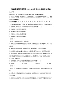 河南省南阳市镇平县2025年中考第二次模拟考试化学试卷（解析版）