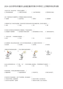 2024~2025学年9月重庆九龙坡区重庆市育才中学初三上学期月考化学试卷（有答案解析）