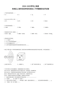 2024~2025学年上海浦东新区上海市实验学校东校初二下学期期末化学试卷（有答案解析）