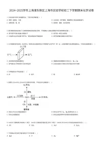 2024~2025学年上海浦东新区上海市实验学校初二下学期期末化学试卷（有答案解析）
