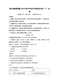 湖北省荆楚联盟2025年初中学业水平适应性考试 (一) 化学试题（解析版）