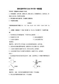 贵州省毕节市2025年中考一模化学试题（解析版）