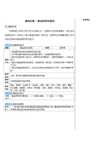沪教版（2024）九年级下册（2024）粗盐的初步提纯表格教案