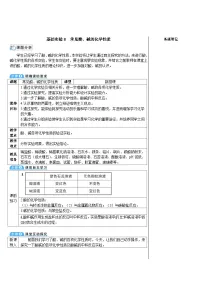 初中化学沪教版（2024）九年级下册（2024）常见酸、碱的化学性质表格教案
