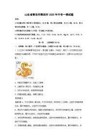 山东省青岛市莱西市2025年中考一模化学试卷（解析版）