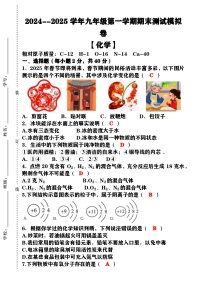 2024--2025学年第一学期九年级【化学】上册期末测试模拟卷（含答案）