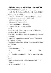 湖北省黄石市西塞山区2025年中考第二次模拟考试化学试题（解析版）