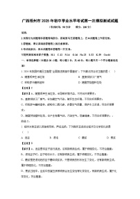广西梧州市2025年初中学业水平考试第一次模拟测试化学试题（解析版）