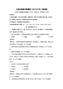 云南省曲靖市麒麟区2025年中考一模化学试题（解析版）