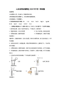 山东省烟台蓬莱区2025年中考一模化学试题（解析版）