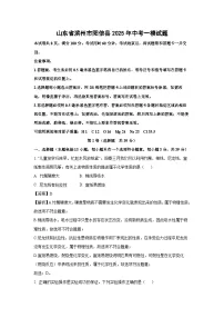 山东省滨州市阳信县2025年中考一模化学试题（解析版）
