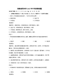 河南省郑州市2025年中考四模化学试卷（解析版）