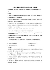 山东省淄博市周村区2025年中考一模化学试卷（解析版）