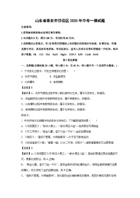 山东省泰安市岱岳区2025年中考一模化学试卷（解析版）