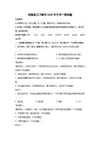 河南省三门峡市2025年中考一模化学试卷（解析版）