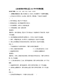 山东省泰安市泰山区2025年中考模化学试卷（解析版）