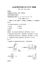 山东省日照市开发区2025年中考一模化学试卷（解析版）