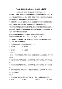 广东省惠州市惠东县2025年中考一模化学试卷（解析版）