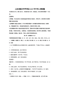 山东省临沂市平邑县2025年中考二模化学试卷（解析版）