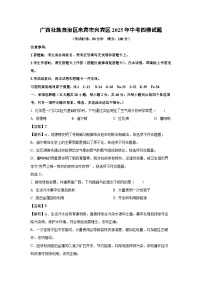 广西壮族自治区来宾市兴宾区2025年中考四模化学试题（解析版）