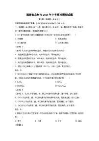 福建省泉州市2025年中考模拟预测化学试题（解析版）