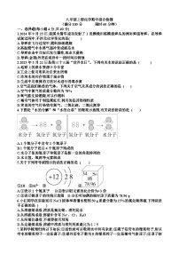 九年级化学上学期期中考试试题试题以及答案（适合鲁教版）