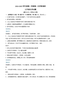 徐州市东苑中学2024-2025学年九年级上学期10月月考化学试题（解析版）