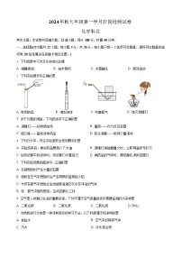 湖南省长沙市中雅培粹学校2024-2025初三第一次月考化学试卷（含答案）