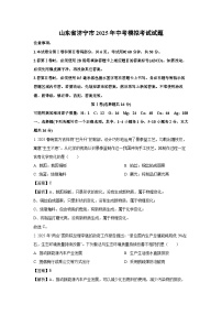 山东省济宁市2025年中考模拟考试化学试题（解析版）