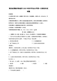 陕西省渭南市韩城市2025年初中学业水平第一次模拟考试化学试题（解析版）
