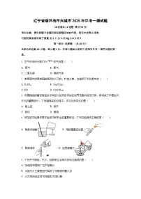 辽宁省葫芦岛市兴城市2025年中考一模化学试卷（学生版）