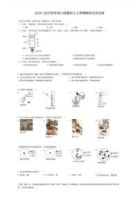 2024~2025学年四川成都初三上学期期末化学试卷（有答案解析）