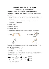 河北省沧州市献县2025年中考化学一模试题（学生版）