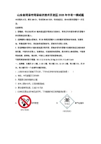 山东省菏泽市经济技术开发区2025年中考化学一模试题（学生版）