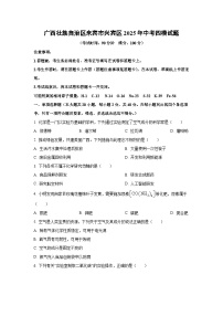 广西壮族自治区来宾市兴宾区2025年中考四模化学试卷（学生版）