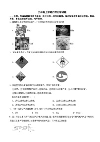 广东省广州市2025年九年级上学期月考化学试题附答案