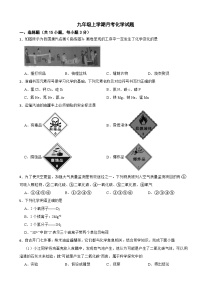 广东省珠海市2025年九年级上学期月考化学试题附答案