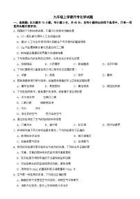 广东省珠海市2025年九年级上学期月考化学考试试卷附答案