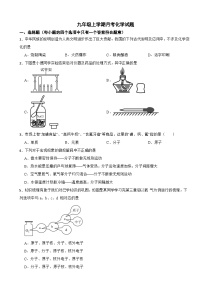 湖北省武汉市2025年九年级上学期月考化学试题附答案
