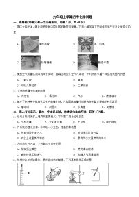 四川省成都市2025年九年级上学期月考化学考试试题附答案