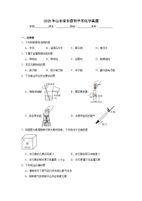 2025年山东省东营市中考化学真题（附答案解析）