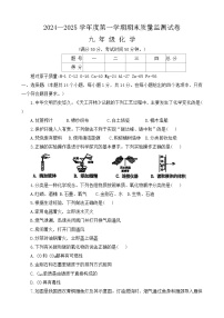 河南省驻马店市正阳县2024-2025学年九年级上学期1月期末化学试题