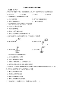 四川省绵阳市2025年九年级上学期月月考化学试题附答案