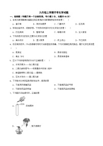 湖南省衡阳市衡阳市2025年九年级上学期月考化学试题附答案
