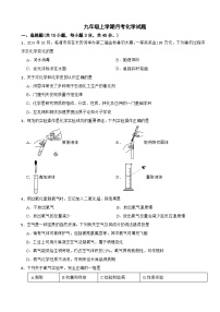 湖南省岳阳市临湘市2025年九年级上学期月考化学试题附答案