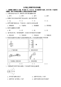 广西南宁市2025年九年级上学期月考化学试题附答案