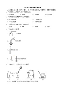 广东省深圳市罗湖区2025年九年级上学期月考化学试卷附答案